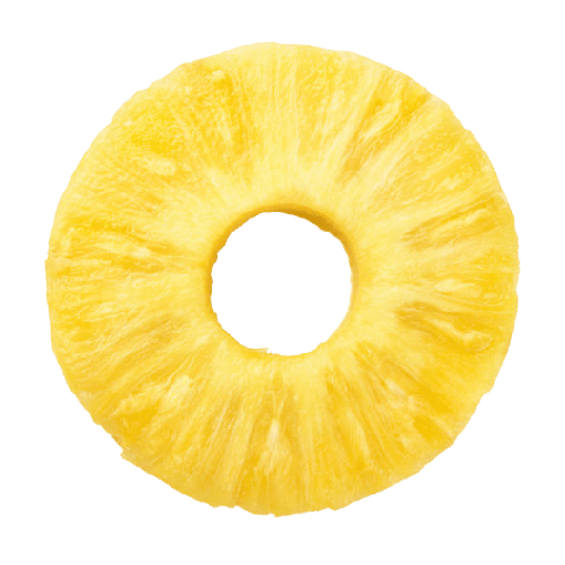 [ZB088] PIÑA RODAJA EXTRA